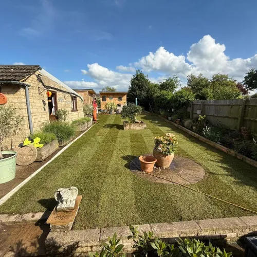 Recent landscaping project